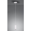 Pojedyncza lampa wisząca VANTOS DL101312400 Trio sopel tuba biały