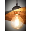 Lampa wisząca LEAF miedziana czarna 1xE27 kompozyt do salonu 41919