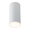 Tuba LAMPA plafon ARAO 7079 Shilo natynkowy downlight sufitowy biały