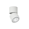 Regulowany downlight pokojowy Herios tuba z regulacją biała