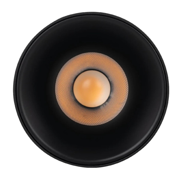Lampa sufitowa do jadalni Blaze 18158 LED 12W 3000-65000K czarna