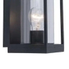 Ścienna LAMPA ogrodowa FLAIR 5288803012 Lutec elewacyjna OPRAWA zewnętrzna outdoor IP44 czarna przezroczysta