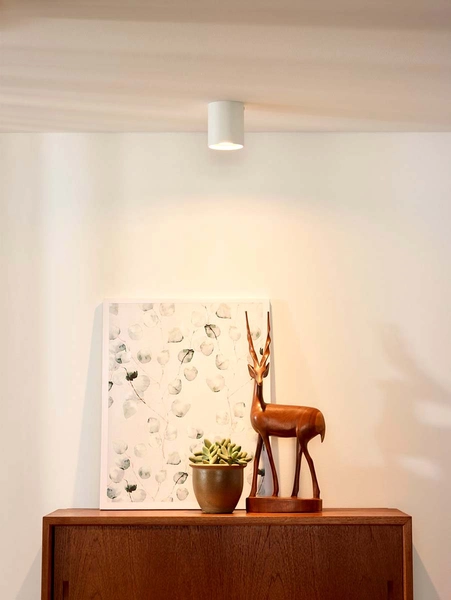 Downlight lampa sufitowa Bodi 09100/01/31 metalowa tuba biała hol