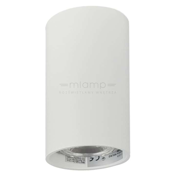 Spot LAMPA sufitowa DARIA ROUND 1W/W INQ okrągła OPRAWA natynkowa downlight tuba biała