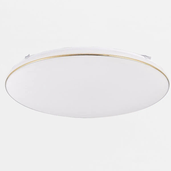 Minimalistyczna natynkowa lampa Omar JE-DHR-0530-GD LED 48W 4000K biały