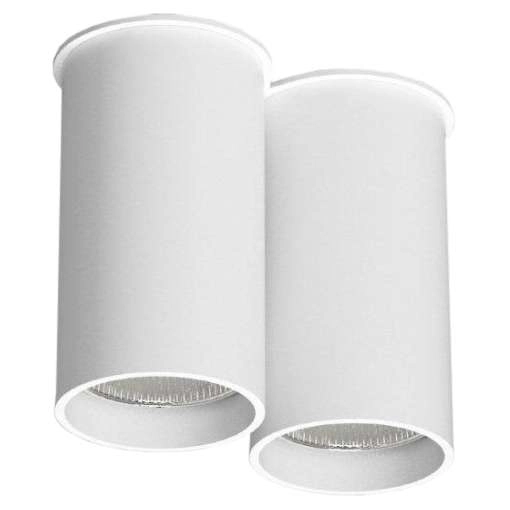 Downlight LAMPA sufitowa ARIDA 7011 Shilo natynkowa tuby białe