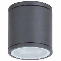 Downlight LAMPA sufitowa stropowa AKRON 8150 Rabalux okrągła OPRAWA elewacyjna tuba zewnętrzna IP54 grafitowa