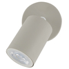 Lampa ścienna do przedpokoju Livia 10222 regulowany reflektorek beżowa