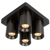 Downlight lampa sufitowa NIGEL 09929/20/16 regulowana czarna outlet