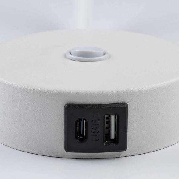 Kinkiet ścienny do gabinetu Lagos 10202 z włącznikiem loftowy biały