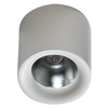 Ściemnialna lampa sufitowa Mane AZ4330 LED 30W 3000K metalowa biała
