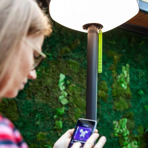 Stojąca LAMPA zewnętrzna POPPY 6910802335 Lutec ogrodowa OPRAWA słupek LED 8W 3000K outdoor IP54 szary zielony