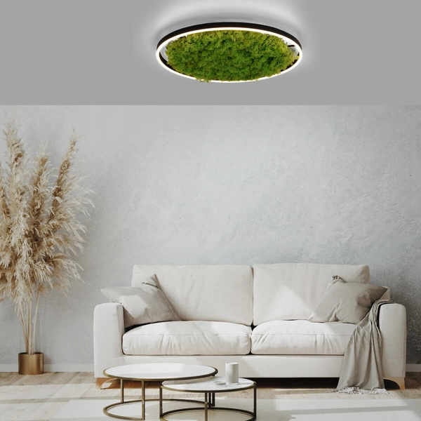 Lampa sufitowa salonowa GREEN RITU 15392-66 LED 28W 3000K zielony