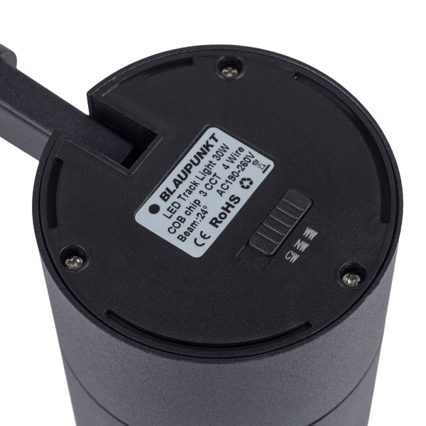 Reflektor LED z przełącznikiem Blaupunkt RS3-30CCT 30W czarny