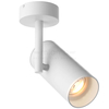 Spot Lampa sufitowa TORI 20015-WH-N regulowana metalowa tuba biała