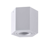 Downlight LAMPA sufitowa HEXAGON 313171 Polux metalowa OPRAWA sześciokątna regulowana biała