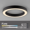 Owalna lampa sufitowa PURE LINES czarna 6310-13 1xLED 21W 2200-5500K na pilot CCT