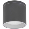 LAMPA sufitowa stropowa ALCALA 32063A Globo tuba OPRAWA zewnętrzna outdoor IP44 antracyt przezroczysta