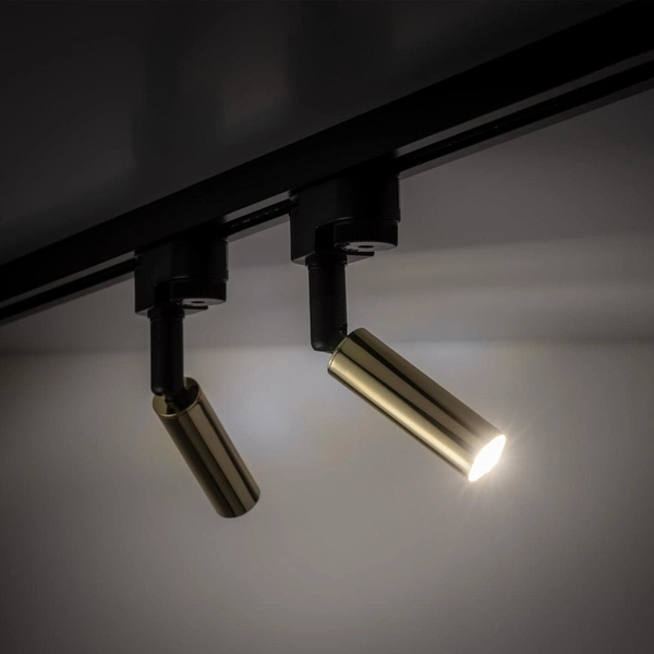 Lampa sufitowa tuba szynowa 1-fazowa Tracer 6616 TK Lighting metalowa złota