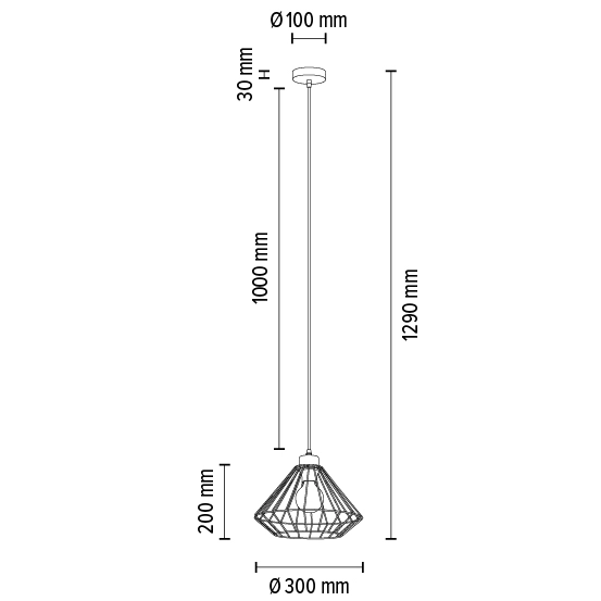 Lampa wisząca RAQUELLE 187149104 metalowa klatka zwis industrialny czarny