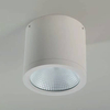 Metalowa tuba sufitowa Conyon AZ6028 Azzardo LED 15W IP54 3000-6000K biały