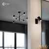 Loftowa lampa sufitowa 1118 regulowana tubki czarny