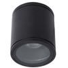 Ogrodowa lampa sufitowa Aven 22962/01/30 czarna tuba IP65 outdoor
