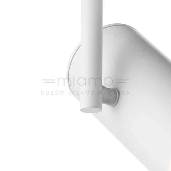 Spot Lampa sufitowa TORI 20015-WH-N regulowana metalowa tuba biała