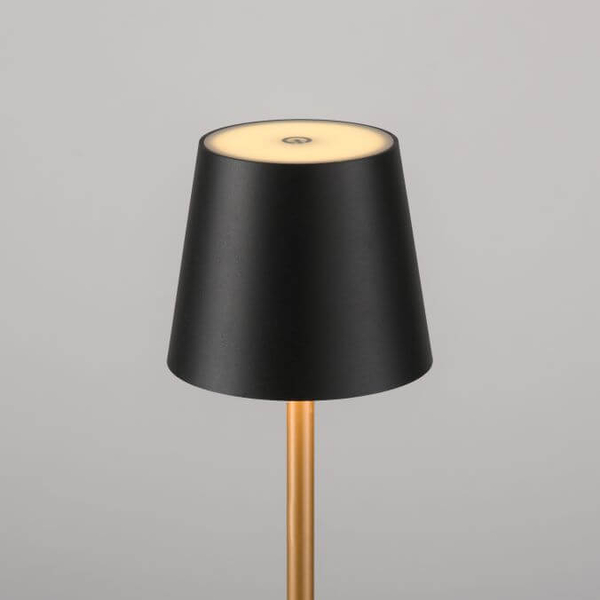 Stołowa lampka Euria 19250-68 LED 2,5W 3000K IP54 czarna złota
