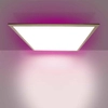 Nowoczesna LAMPA sufitowa RAITO 1382261 Nave kwadratowy plafon LED RGB 40W 2700K - 6500K do sypialni biały
