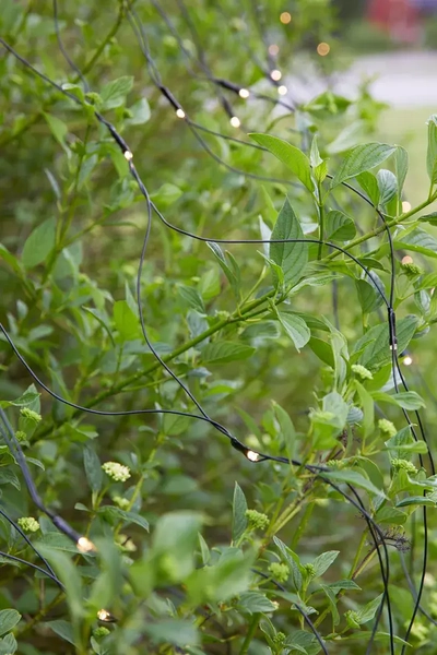Wisząca dekoracja ogrodowa Garden 24 LED 4,8W świetlna