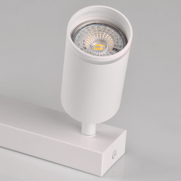 Metalowa oprawa ścienno-sufitowa Paris 322289 podwójna biała