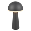 Zewnętrzna lampka stojąca Fungo R57716142 IP54 LED 2W 3000-5000K czarny