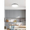 Sufitowa lampa Zeta R62712411 RL Light LED 24W 2700-6500K szara biała