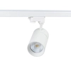 Regulowana LAMPA sufitowa VISION RS1W-30CCT Blaupunkt LED 30W 3000K - 5700K do szynoprzewodu 1-faz biała