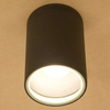 Downlight LAMPA zewnętrzna stropowa FOG 3403 Nowodvorski sufitowa OPRAWA ogrodowa outdoor IP44 tuba grafitowa