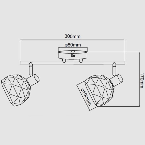 Spot LAMPA sufitowa REUS LP-8069/2WS WH Light Prestige metalowa OPRAWA regulowane reflektorki białe