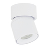 Regulowana lampa sufitowa tuba OSCAR 11347 biały