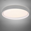 Sufitowa lampa Zeta R62712411 RL Light LED 24W 2700-6500K szara biała