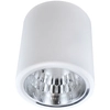 Natynkowa LAMPA stropowa JUPITER 13 307187 Polux downlight OPRAWA sufitowa TUBA metalowa biała