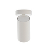 Biały downlight pokojowy Mono 7807 metalowa tuba kierunkowy spot