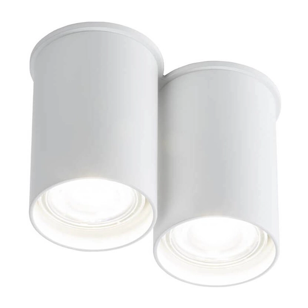 Downlight LAMPA sufitowa ARIDA 7011 Shilo natynkowa tuby białe
