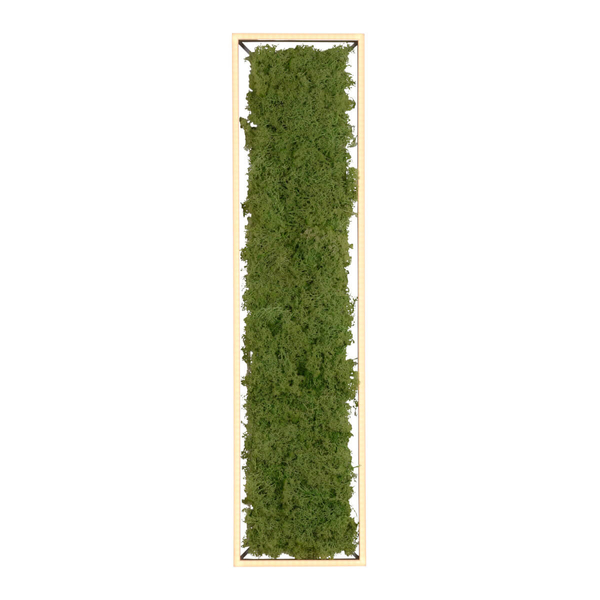 Dekoracyjny plafon GREEN KNUT 15623-66 LED 25W 3000K do jadalni zielony