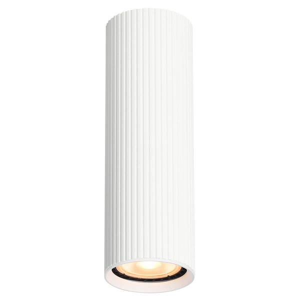 Sufitowa lampa do biura Tune 10025 rurka punktowa metalowa biała