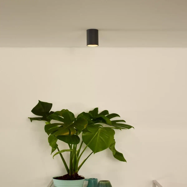 Sufitowa lampa tuba Delto 09915/06/36 Lucide metalowa szara