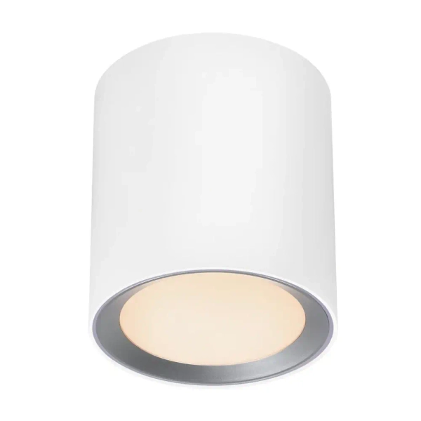 Lampa sufitowa tuba LANDON 2110670101 LED 6,5W 2700K IP44 biały