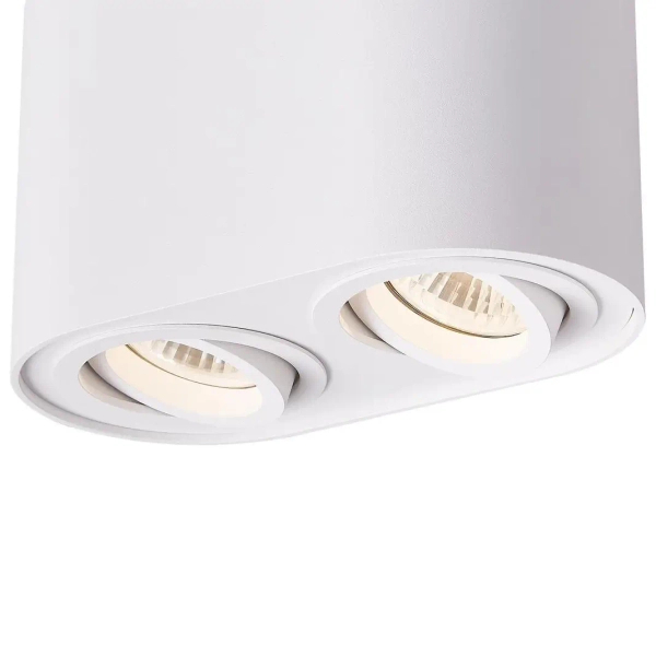 Regulowana lampa sufitowa Rondoc ACGU10-190-N Zumaline biały downlight