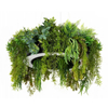 Lampa zawieszana Gardens MSE1501100438 LED 185W zmiana barwy plant zielony