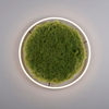 Lampa sufitowa salonowa GREEN RITU 15392-66 LED 28W 3000K zielony