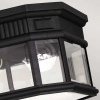 Zewnętrzna LAMPA sufitowa FE-COTSLN-F-BK Elstead FEISS szklana OPRAWA vintage outdoor ogrodowa IP44 czarna przezroczysta